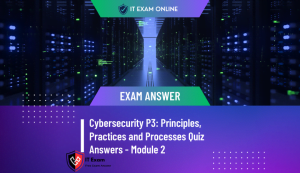 Cybersecurity P3 Principles