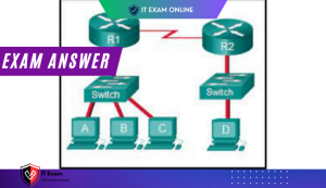 CCNA1 v7 – ITN v7.02 – ITNv7 Final Exam Answers 2023 2024 – Introduction to Networks