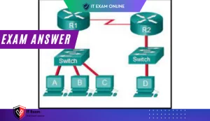 CCNA1 v7 – ITN v7.02 – ITNv7 Final Exam Answers 2023 2024 – Introduction to Networks