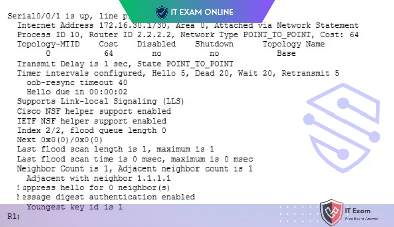Refer to the exhibit. Which command did an administrator issue to produce this output